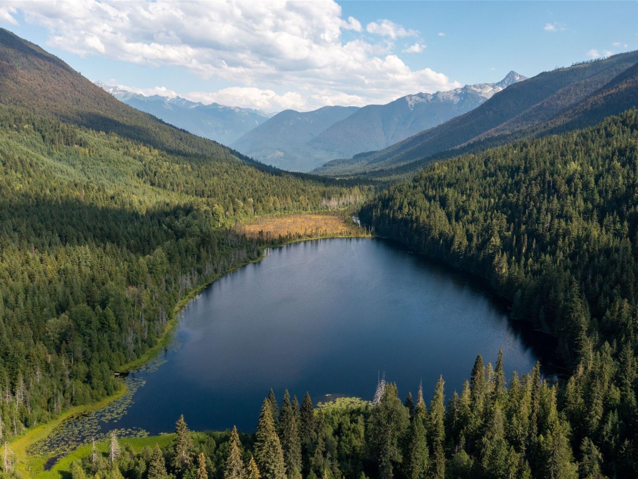 2841 Blackwater Road image 37