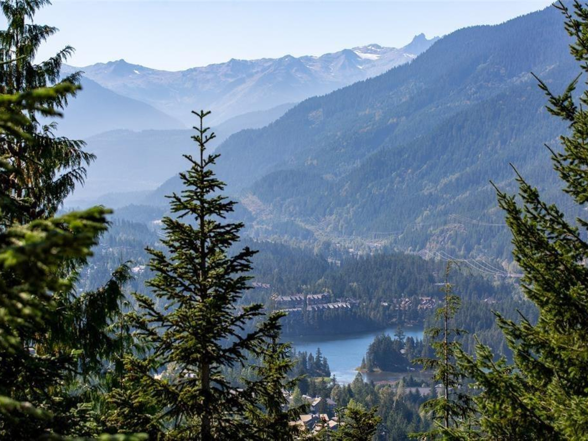 4-2301 Taluswood Place image 20