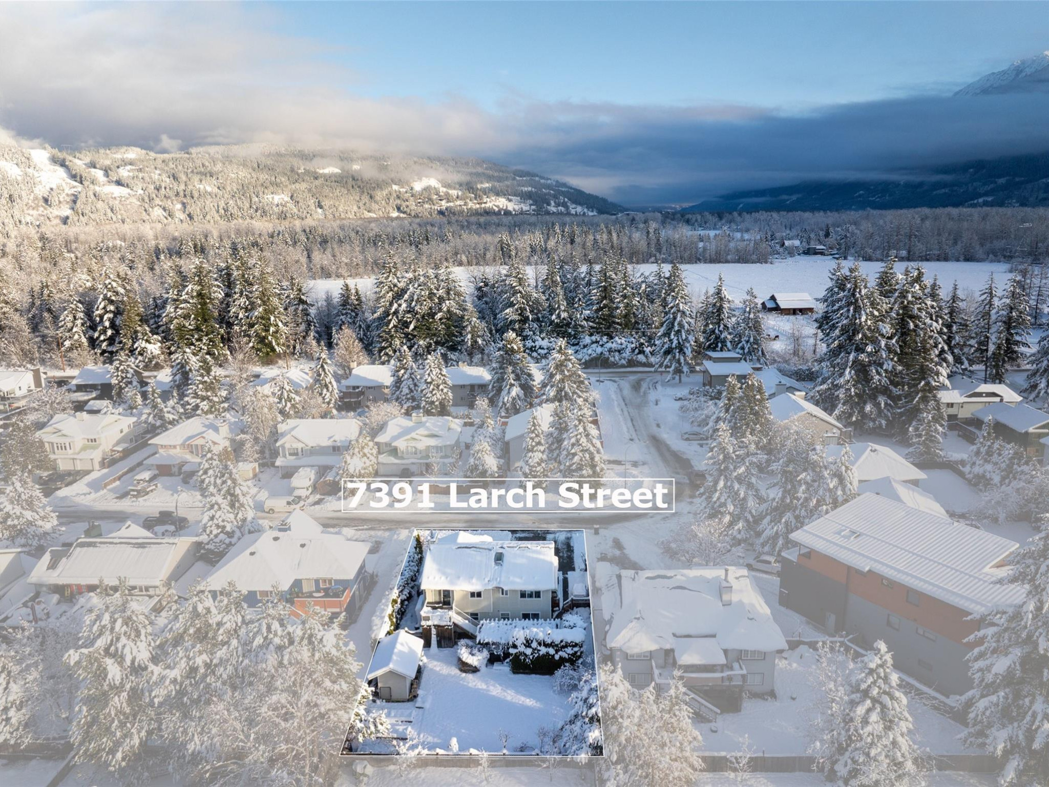 7391 Larch Street image 35