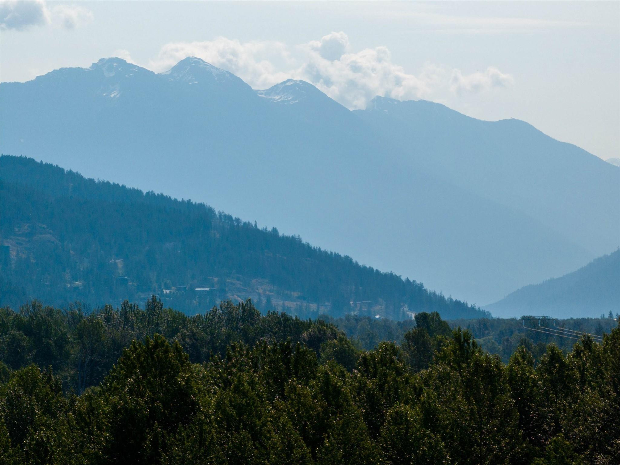 1303 Eagle Drive image 11