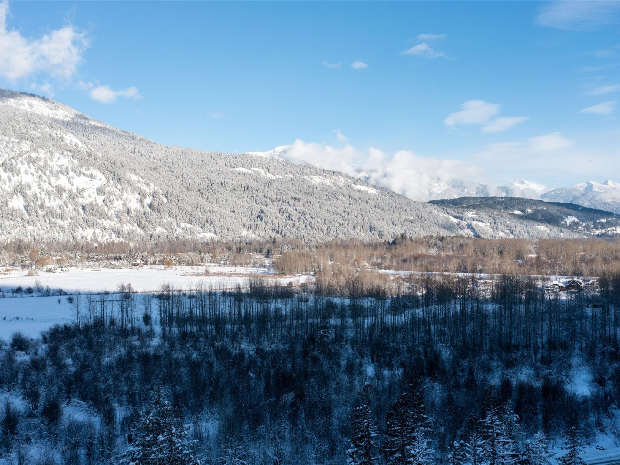 1303 Eagle Drive image 19