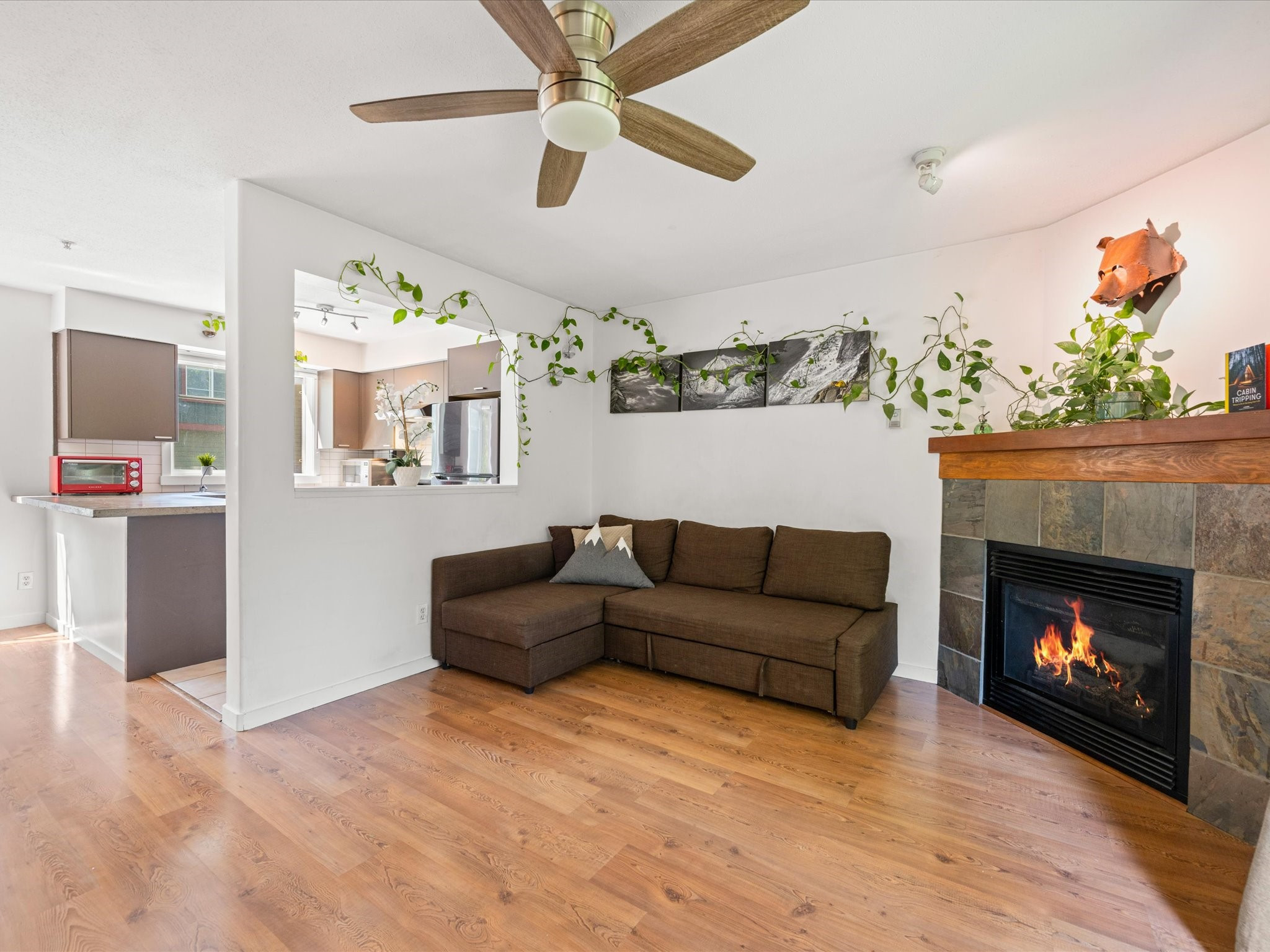 18-1450 Vine Road image 3