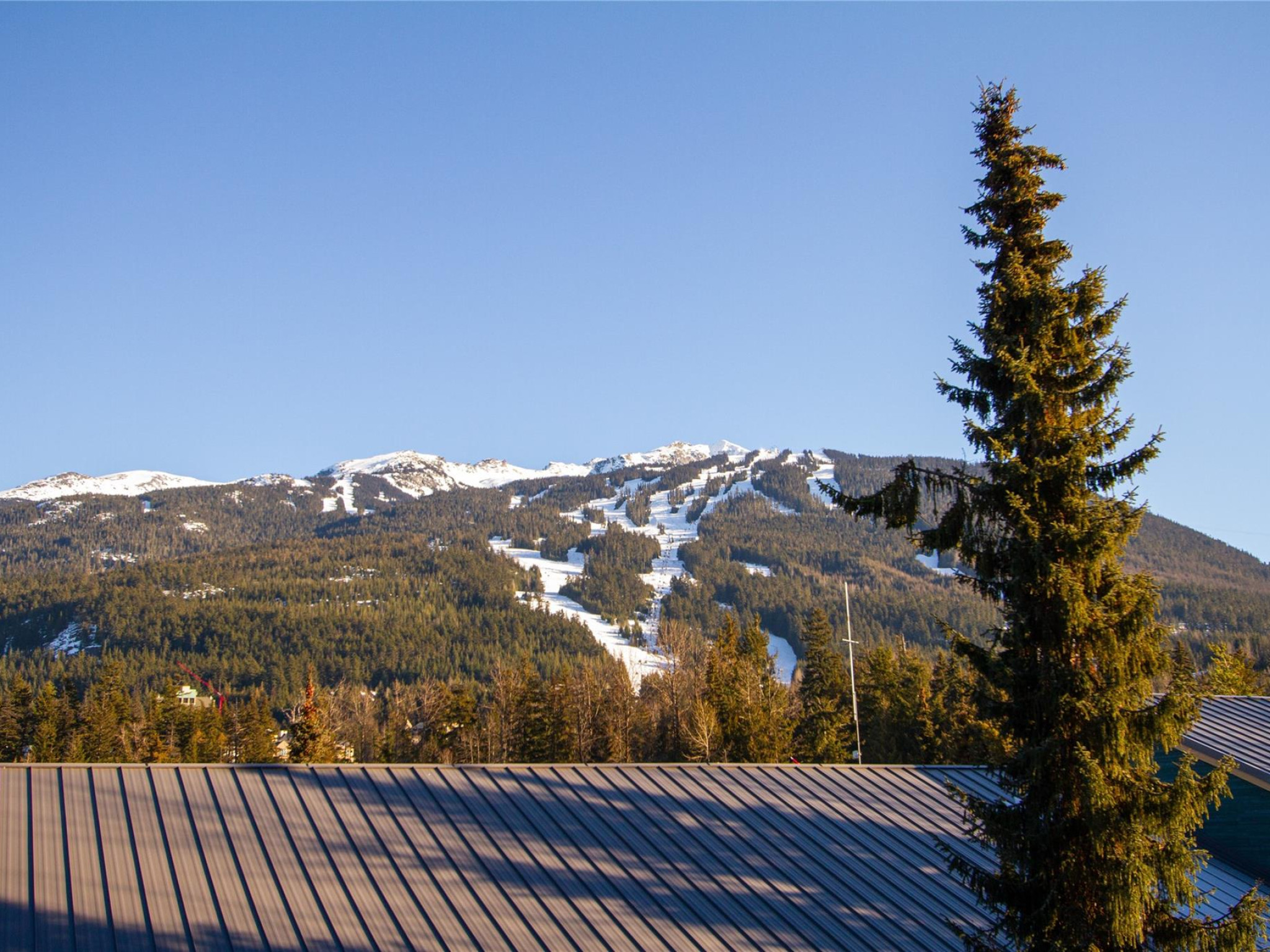 336-4314 Main Street image 2