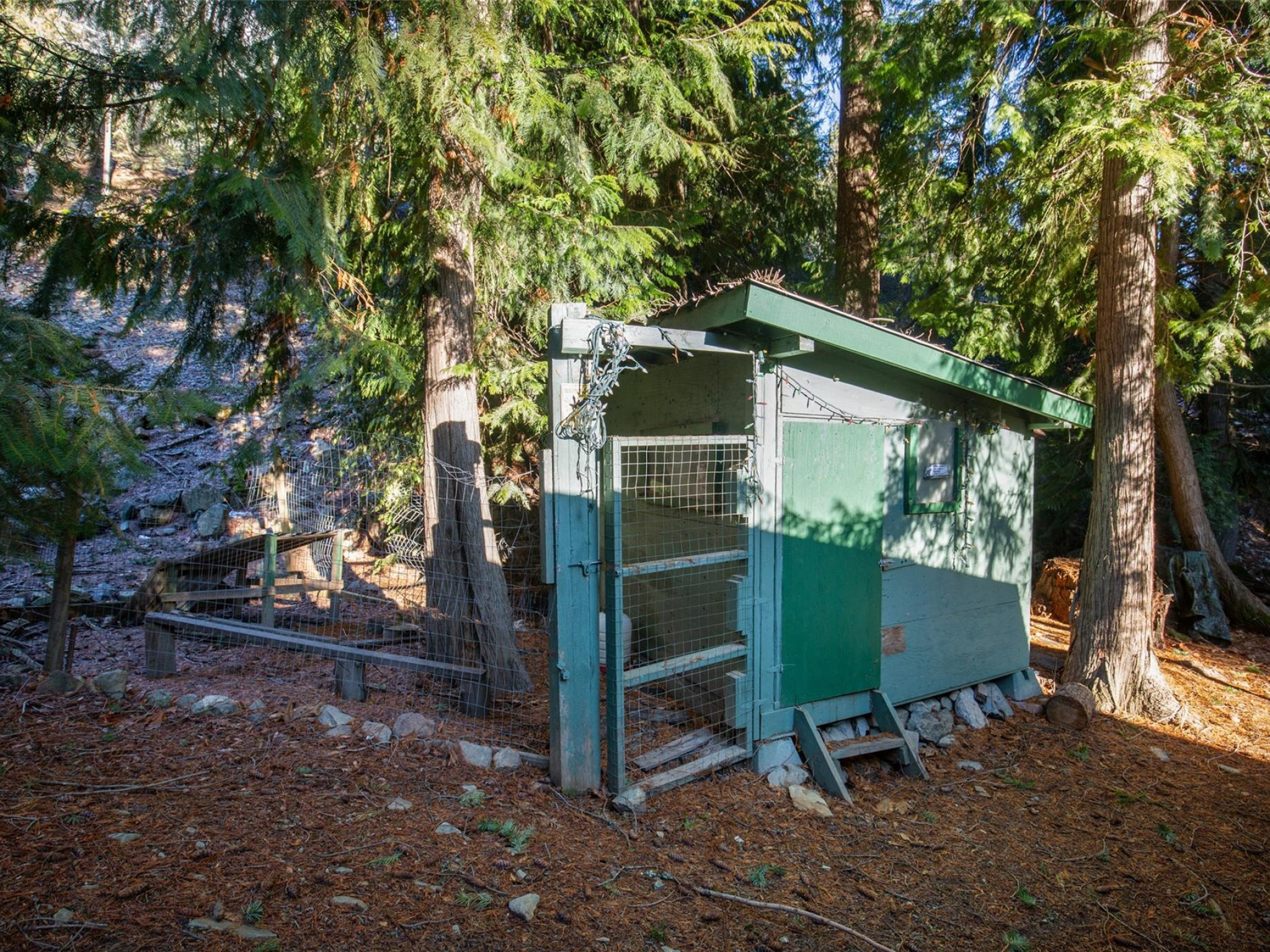 9245 Pemberton Portage Road image 24