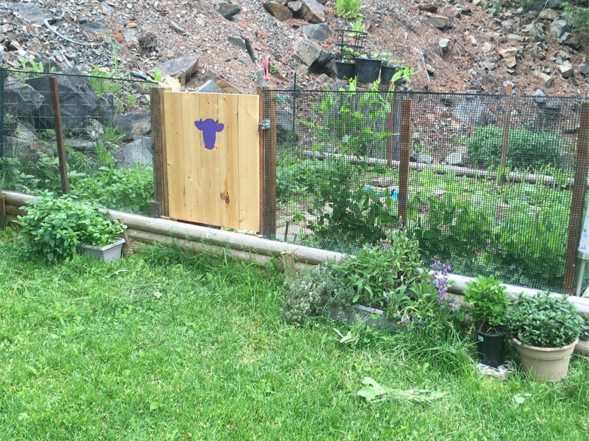 9245 Pemberton Portage Road image 39