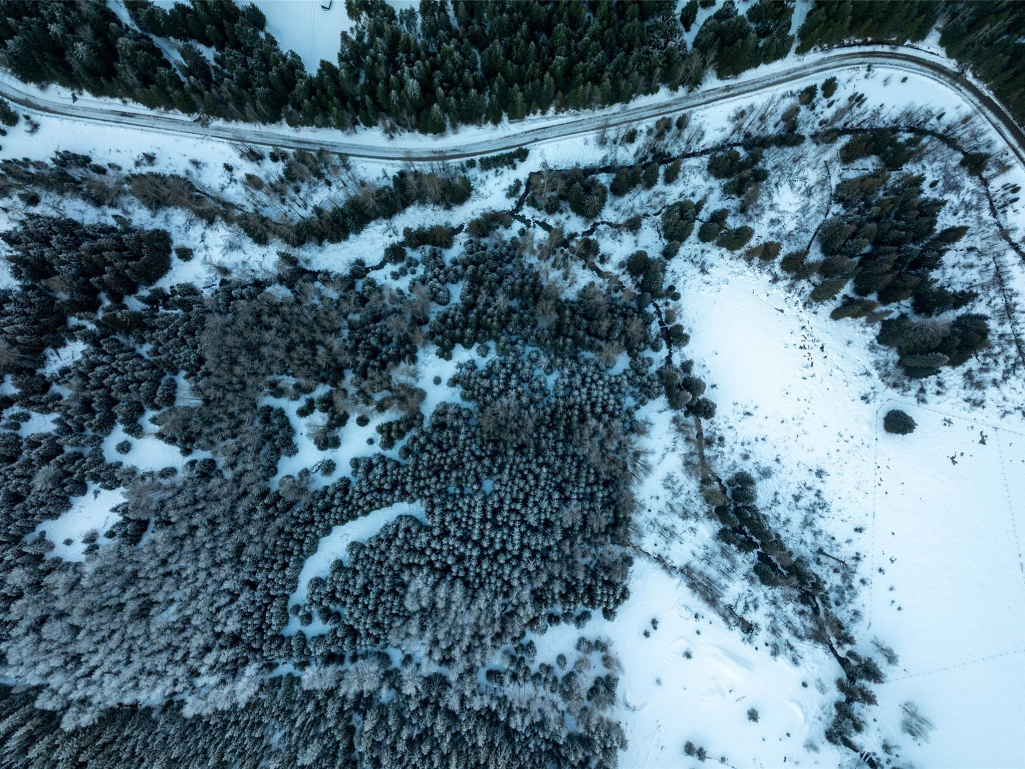 2730 Blackwater Road image 10