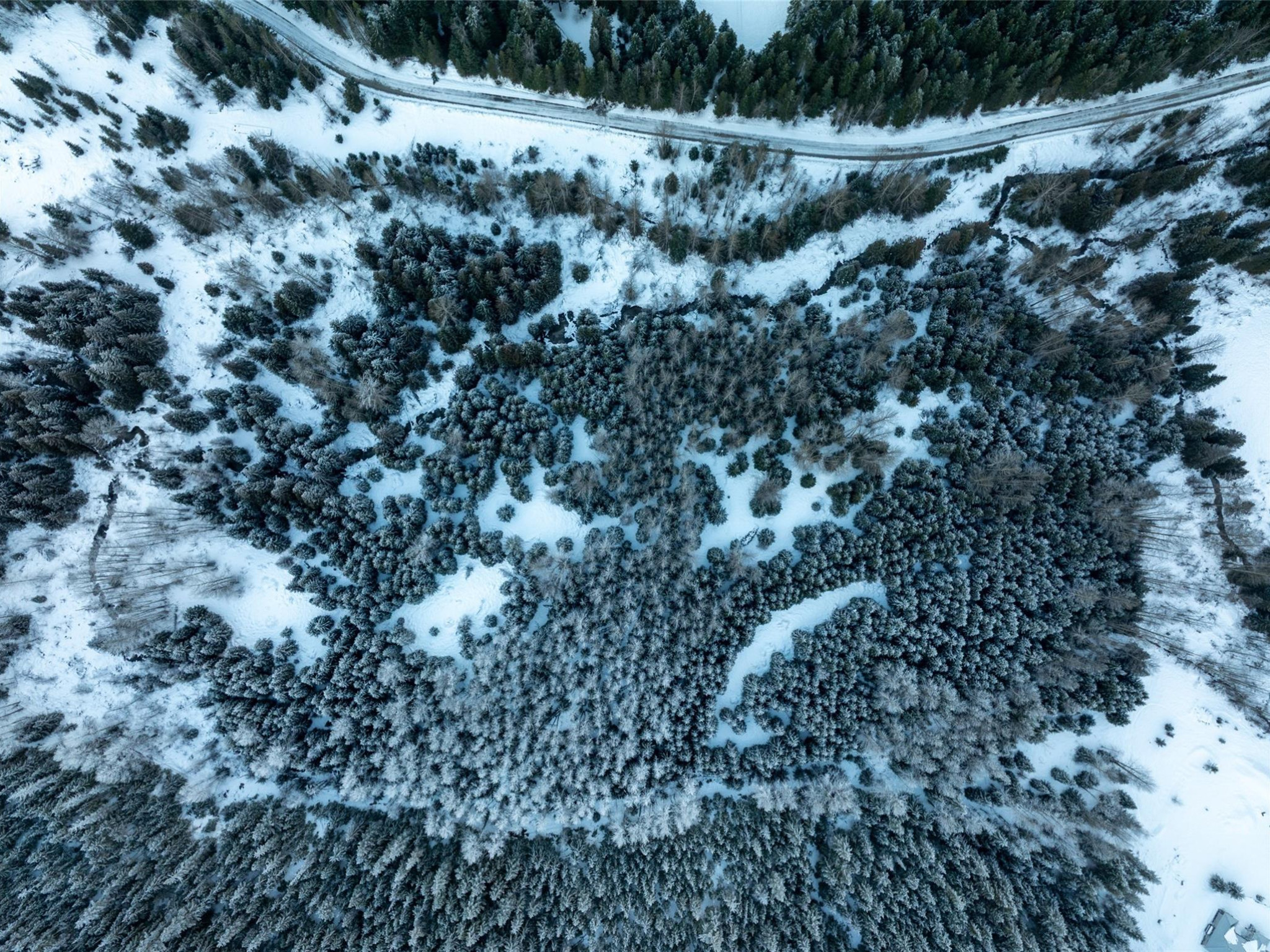 2730 Blackwater Road image 11