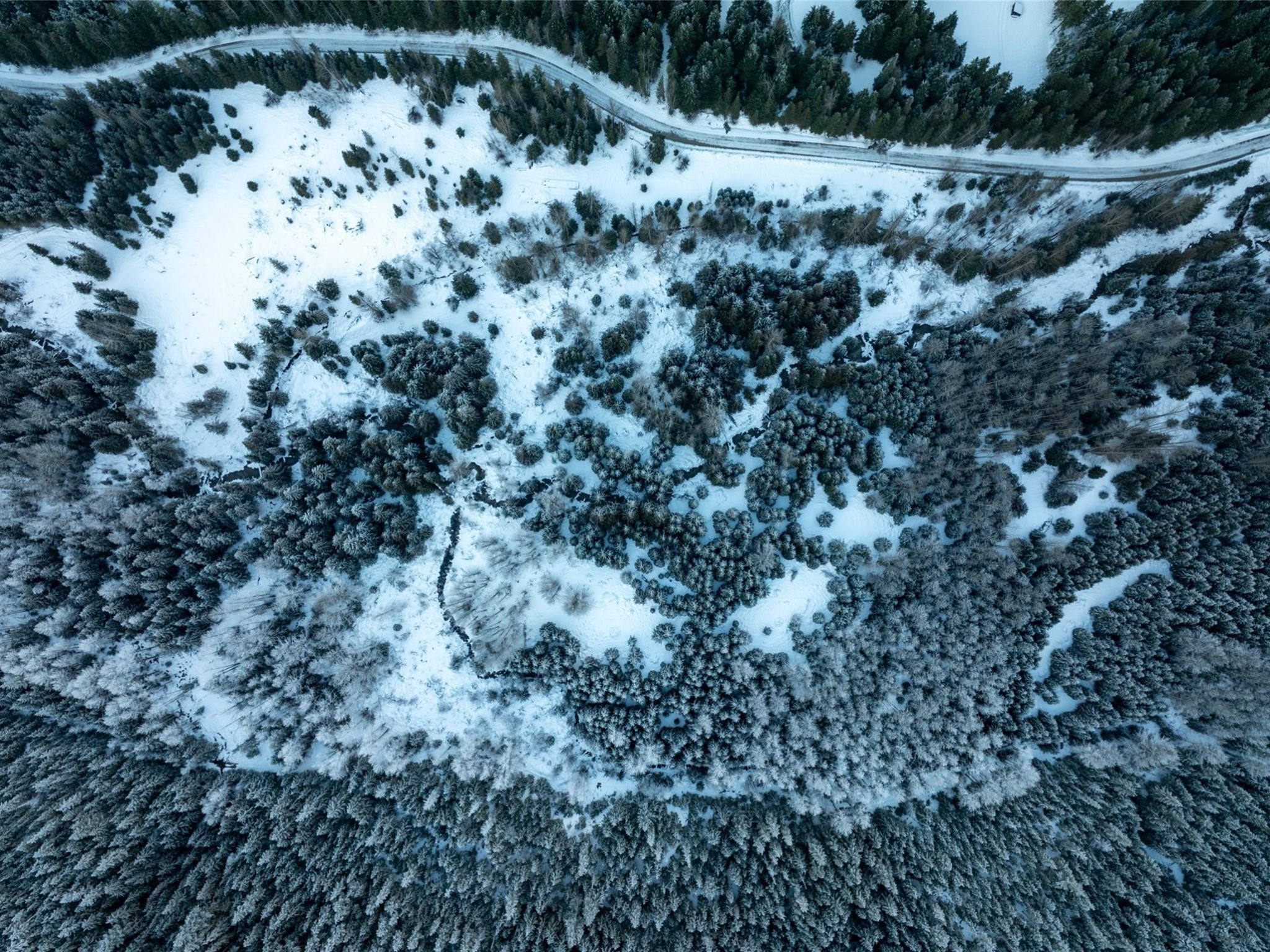 2730 Blackwater Road image 12