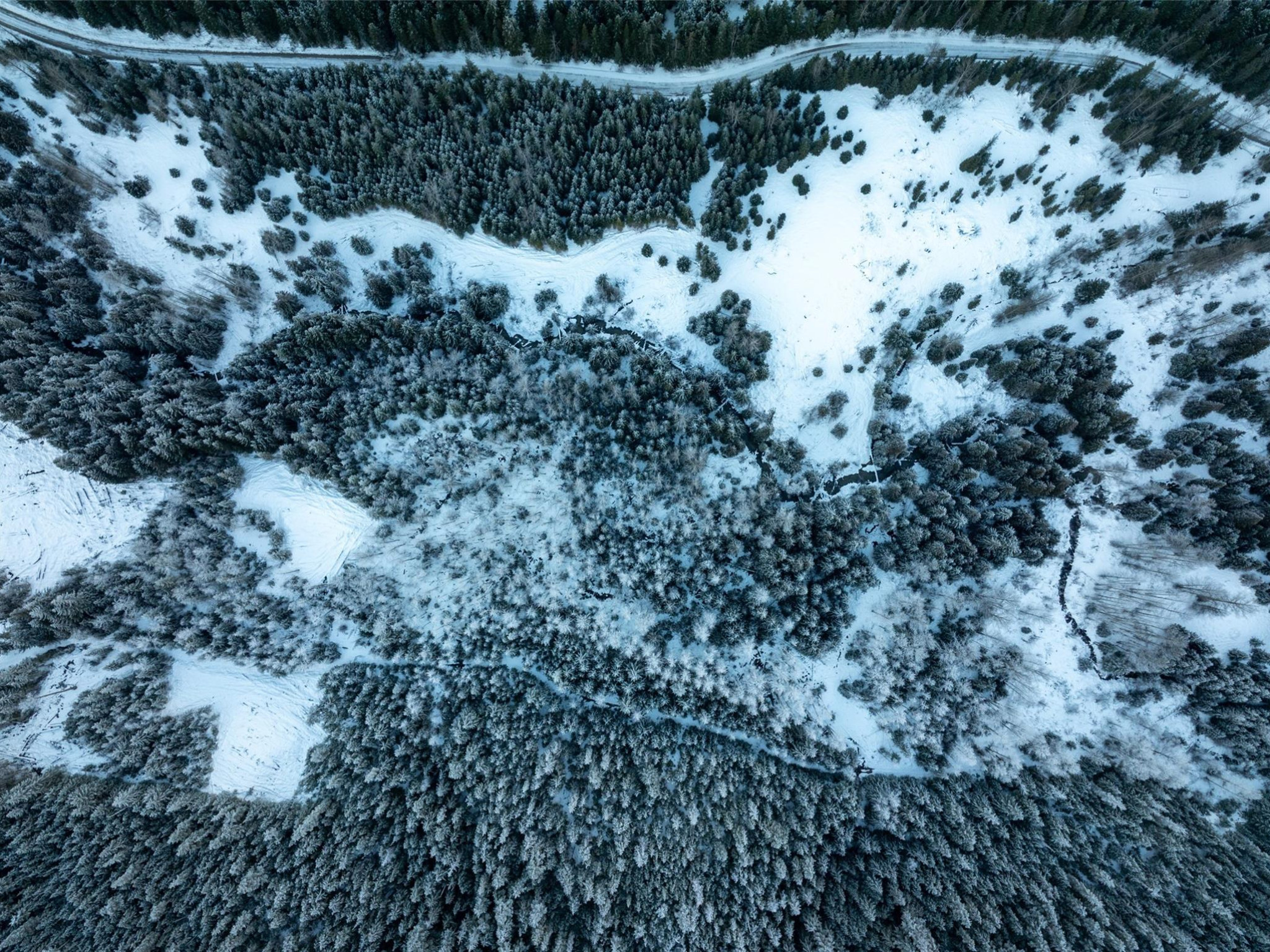 2730 Blackwater Road image 14