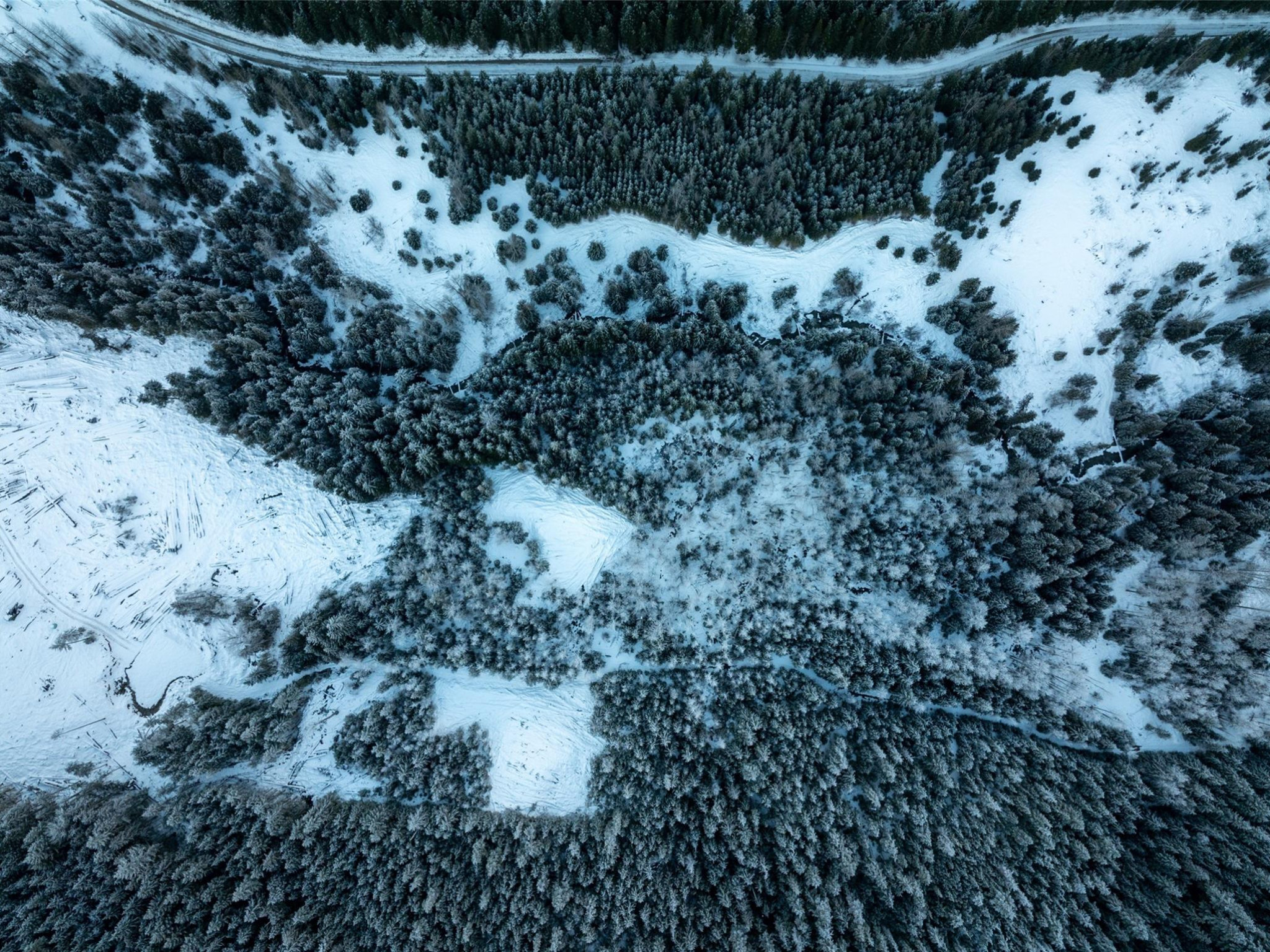 2730 Blackwater Road image 15