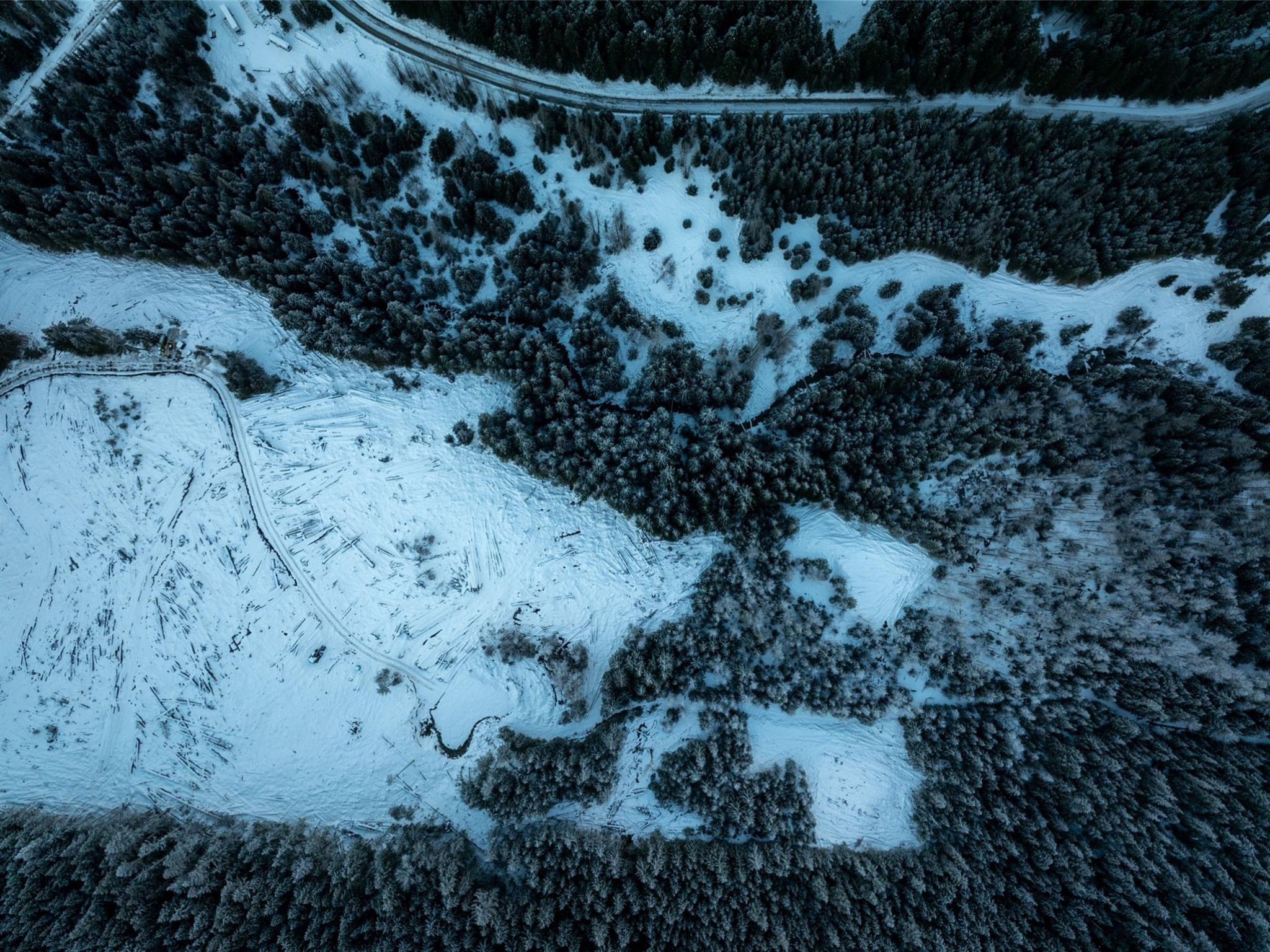 2730 Blackwater Road image 16