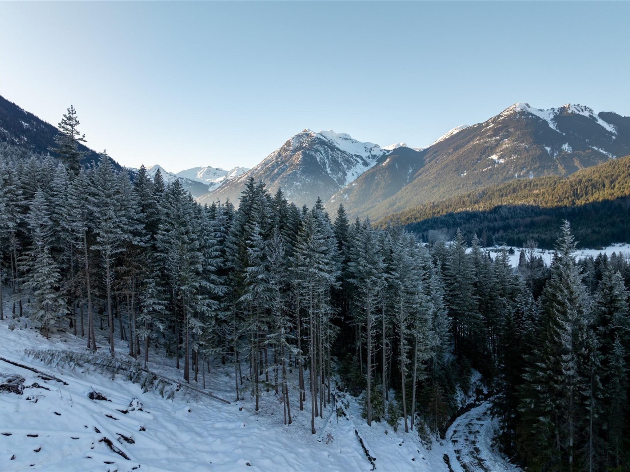 2730 Blackwater Road image 21