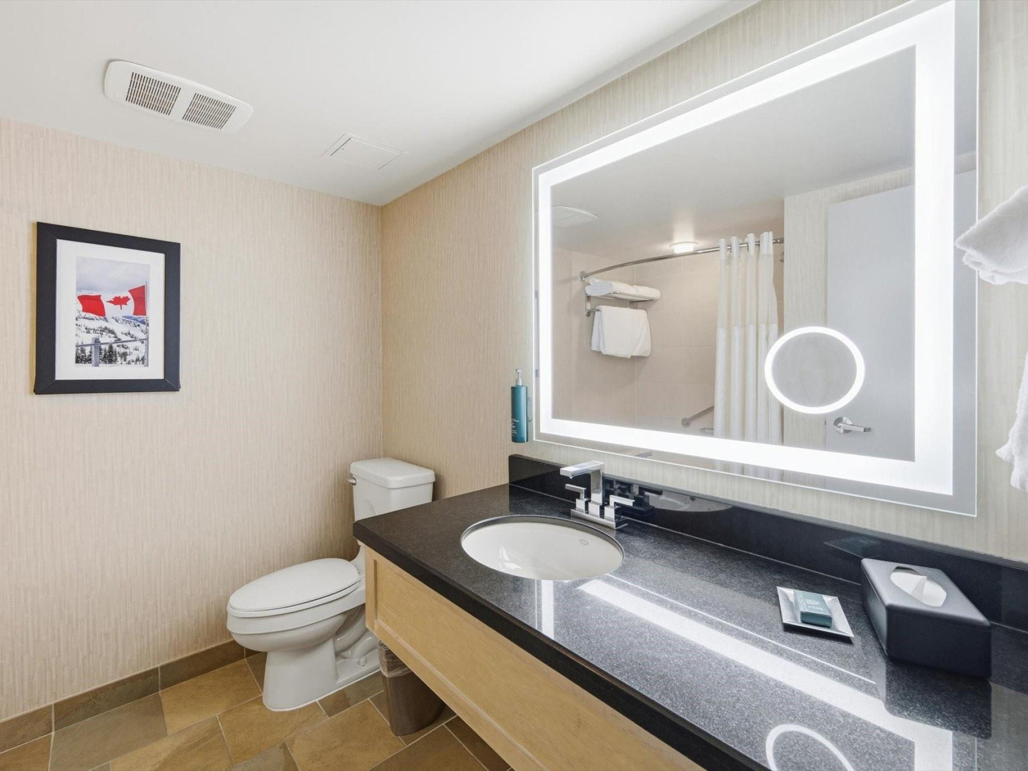 709/711-4050 Whistler Way image 8