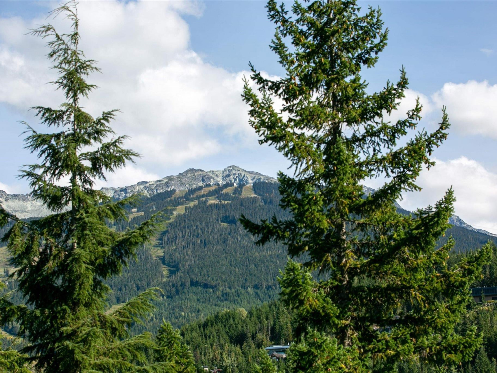 101-3201 Blueberry Drive image 21