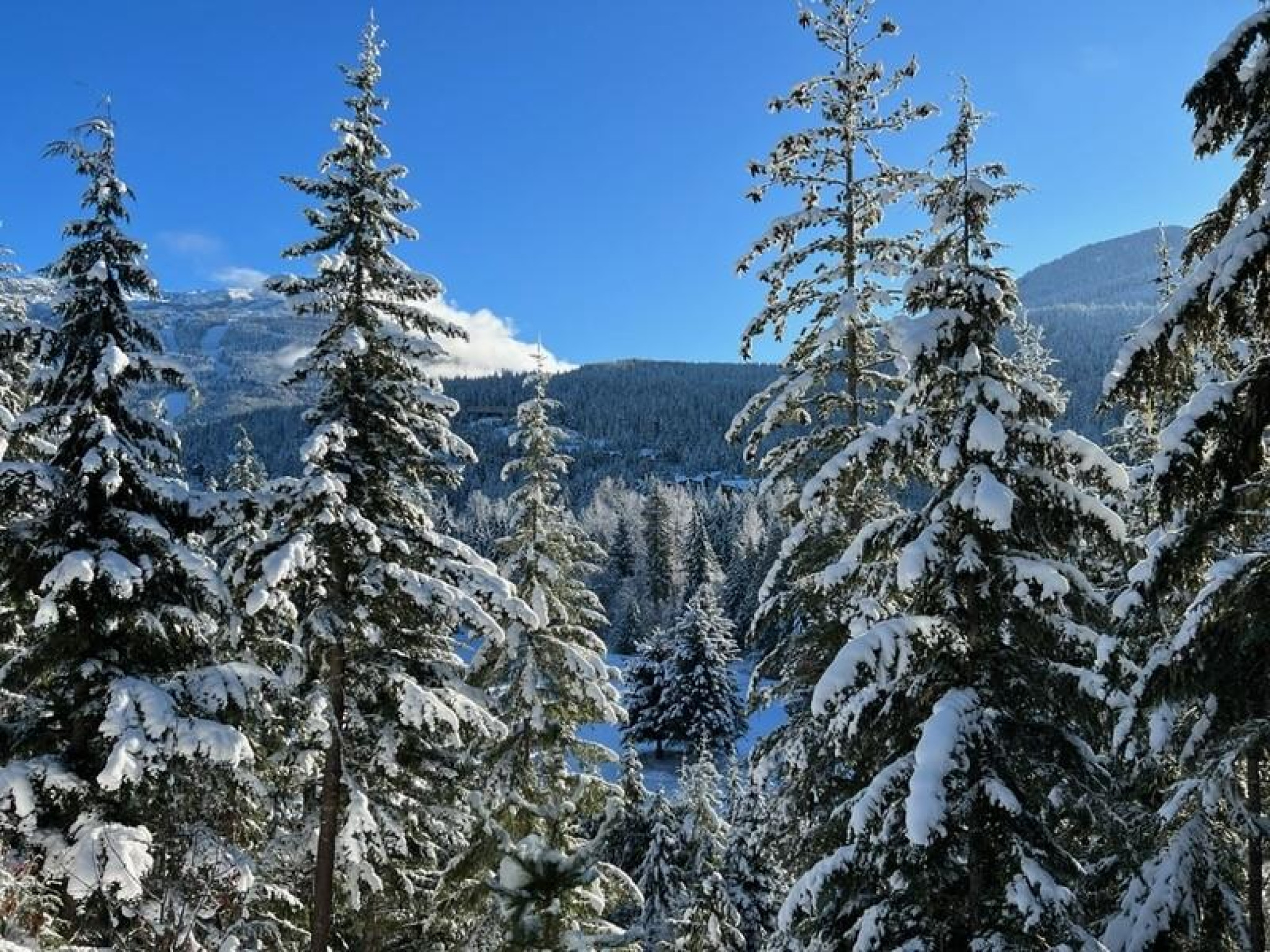 101-3201 Blueberry Drive image 23