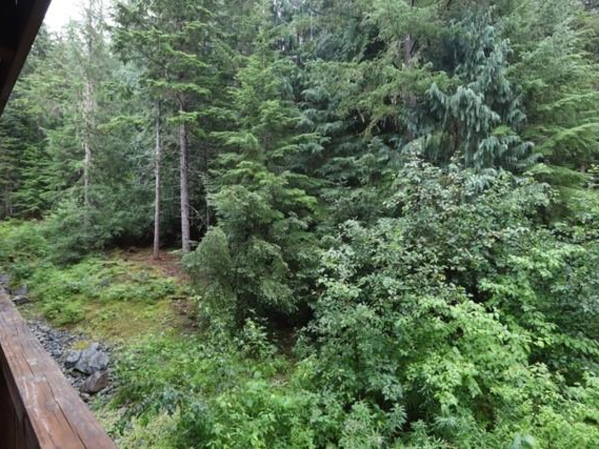 206 G3-4653 Blackcomb Way image 1