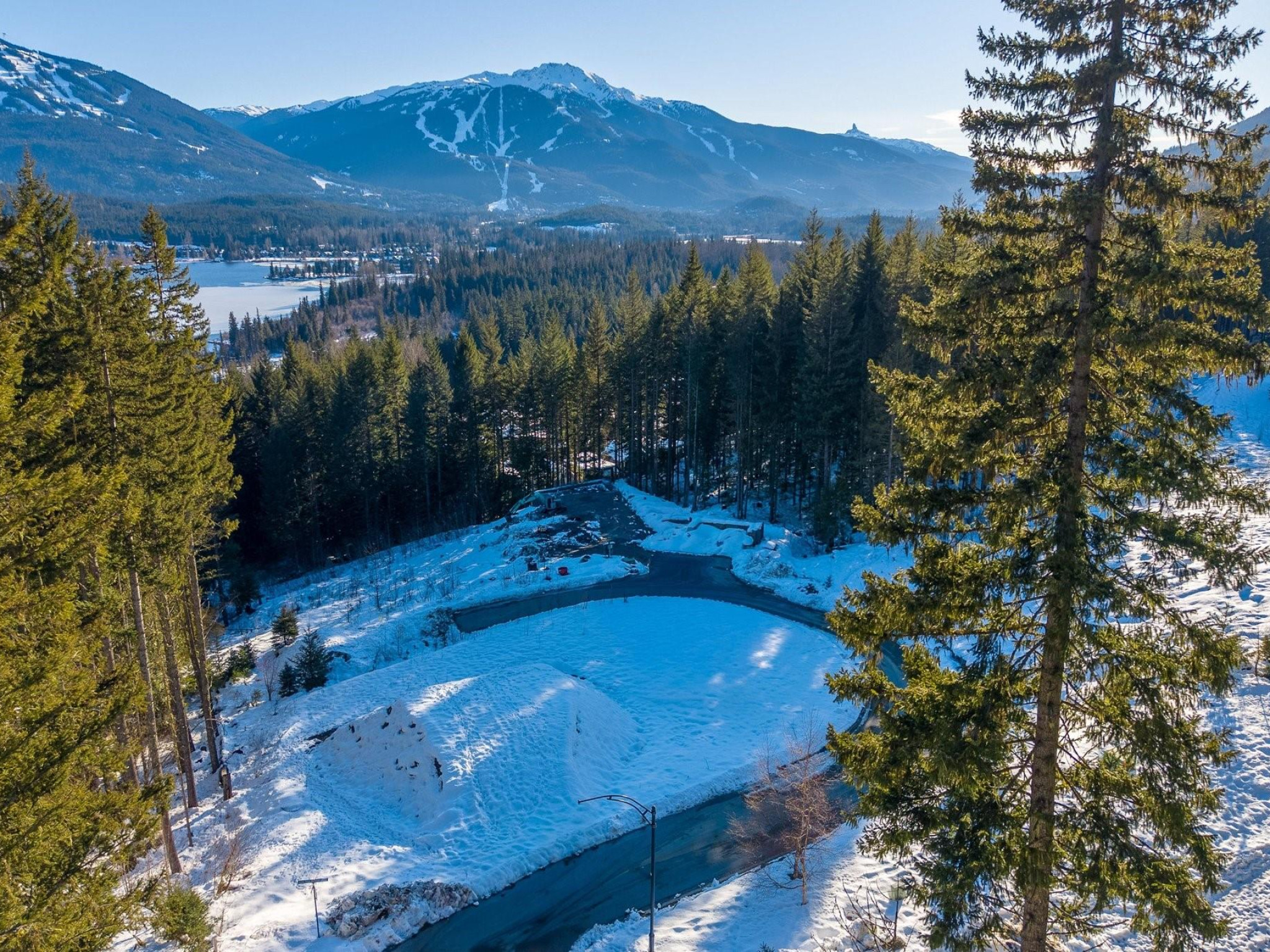 8611 Maelle Ricker Lane image 1