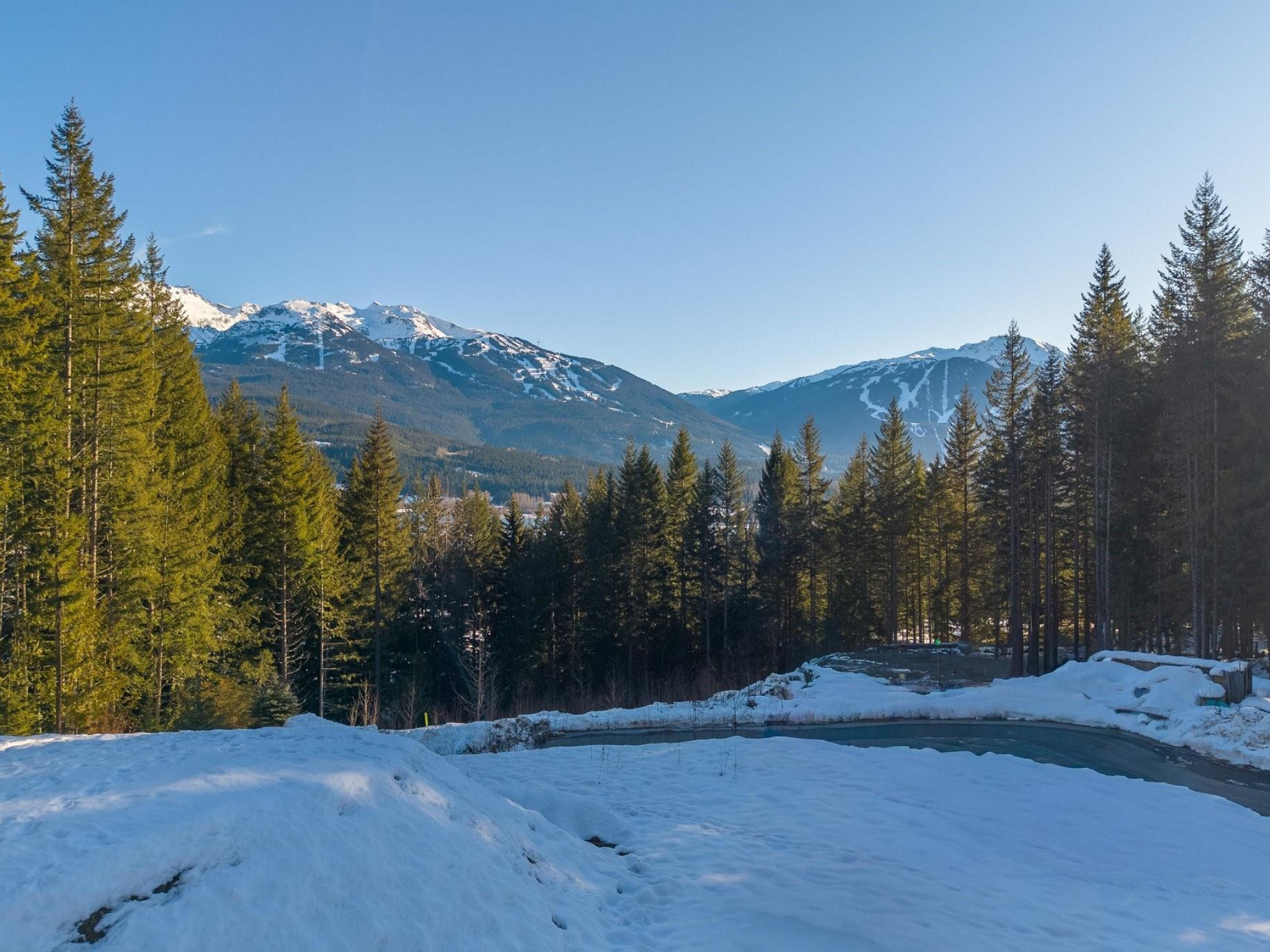 8611 Maelle Ricker Lane image 2