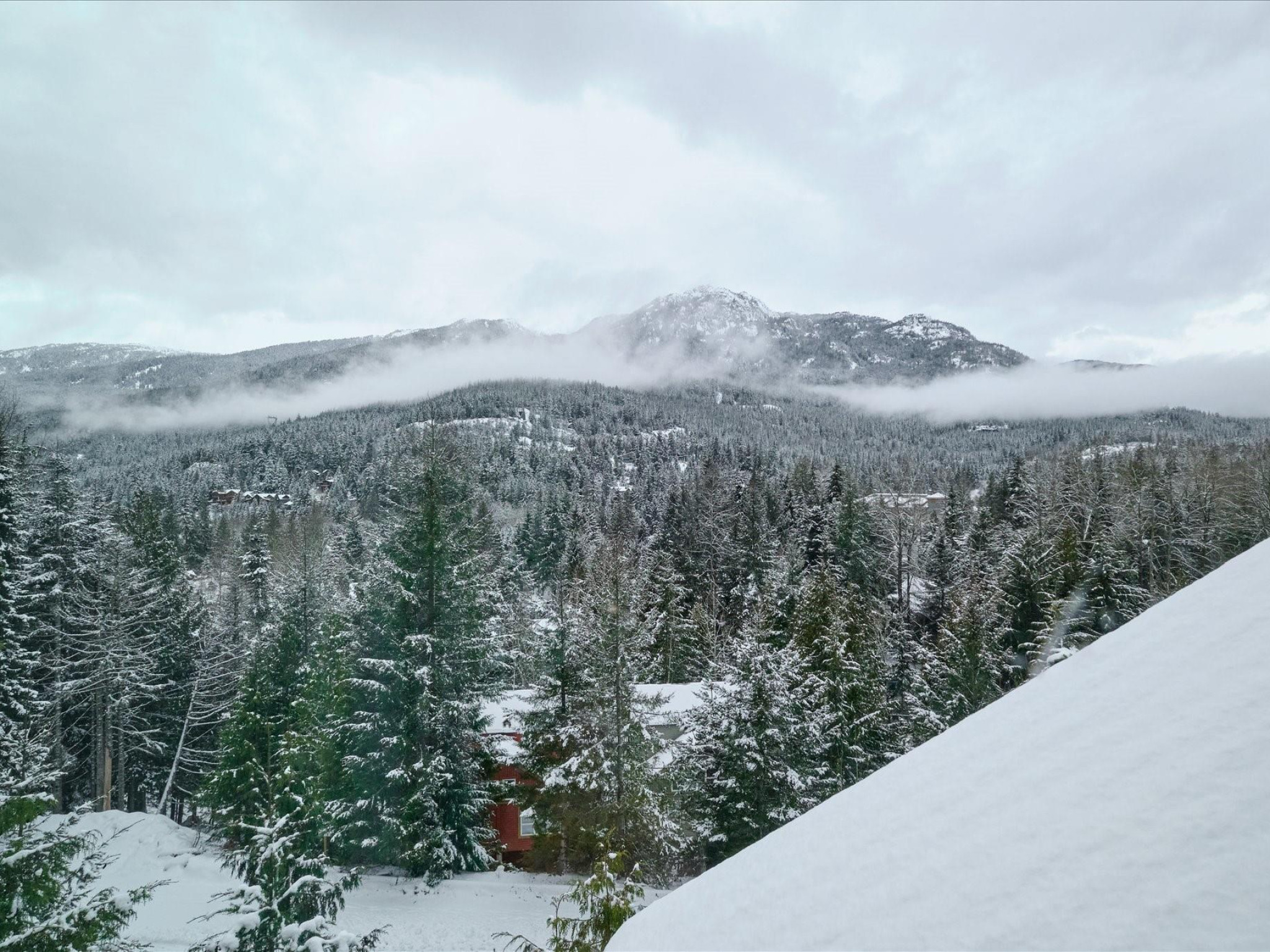 4-2170 Sarajevo Drive image 5