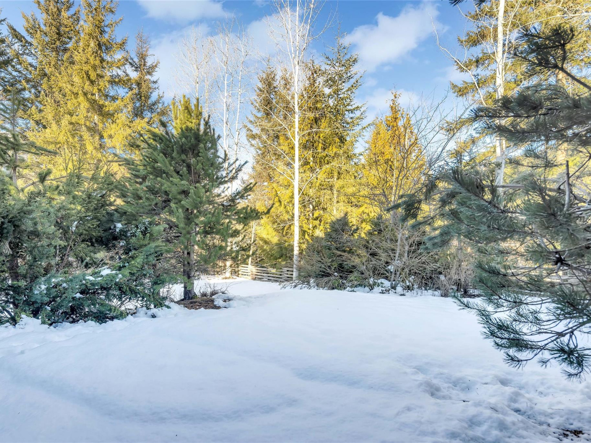 11-1240 Mount Fee Road image 22