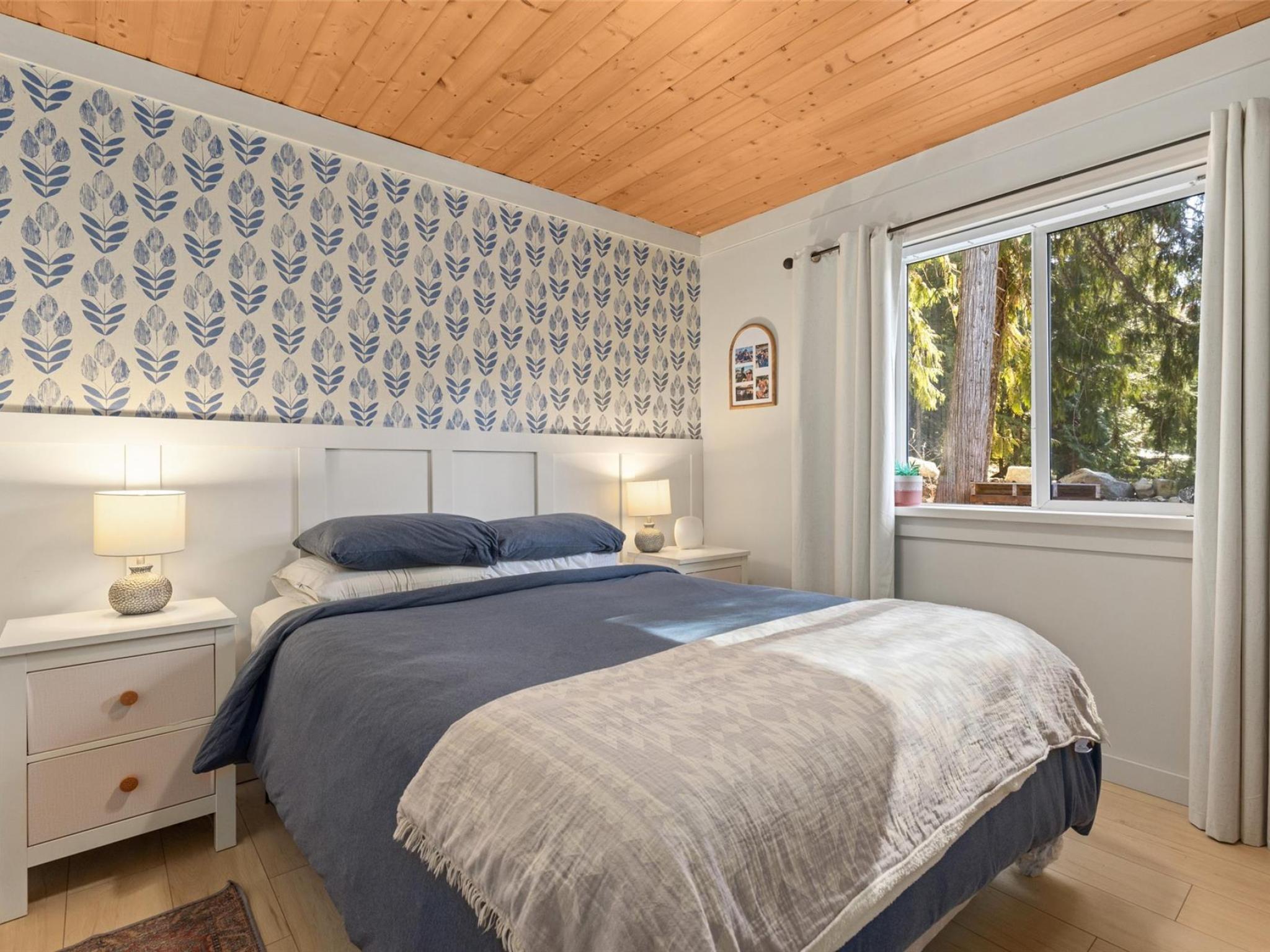 144-6500 In-Shuck-Ch Forest Service Road image 14