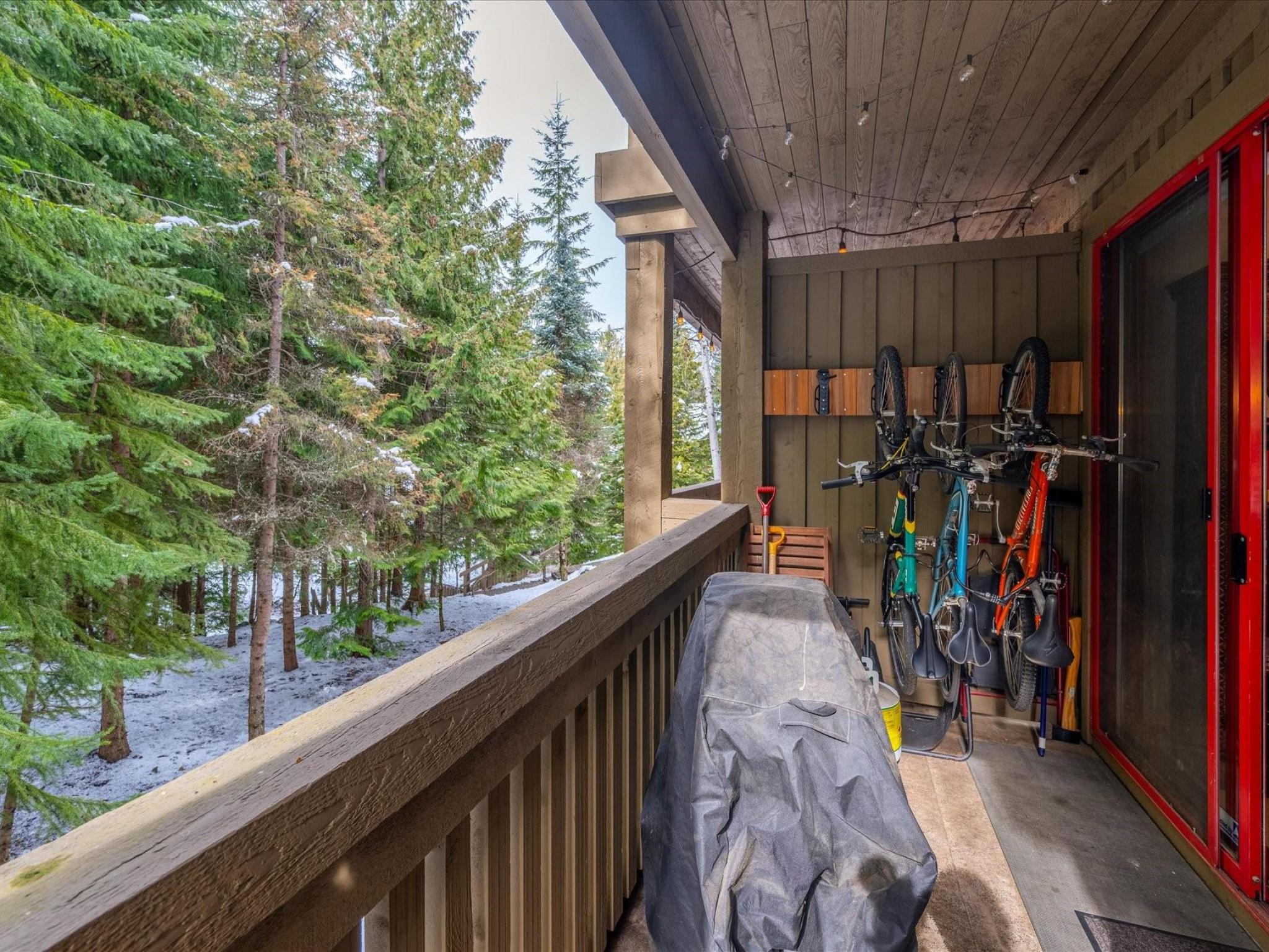 1-4652 Blackcomb Way image 23