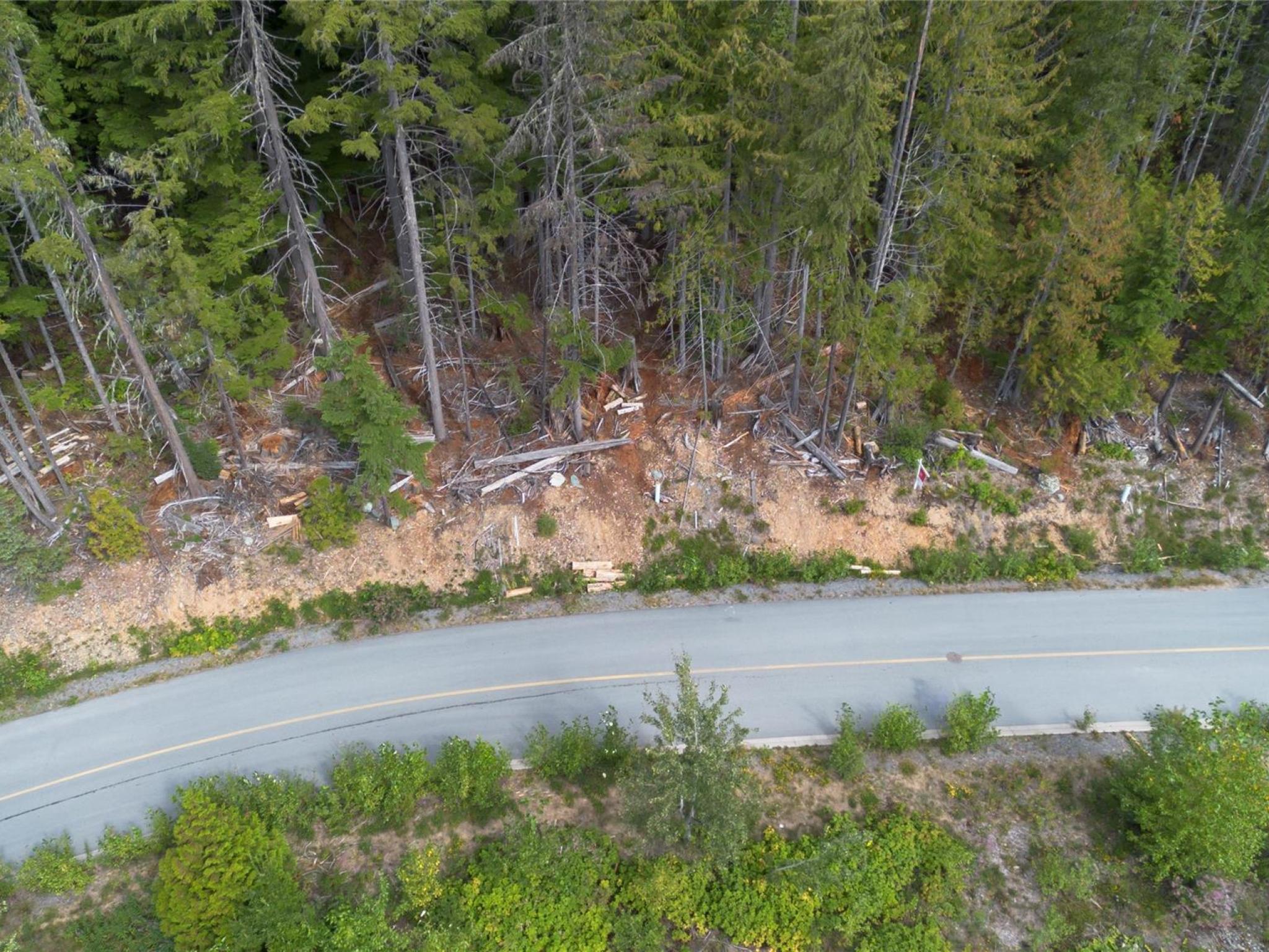 8566 Ashleigh Mcivor Drive image 10