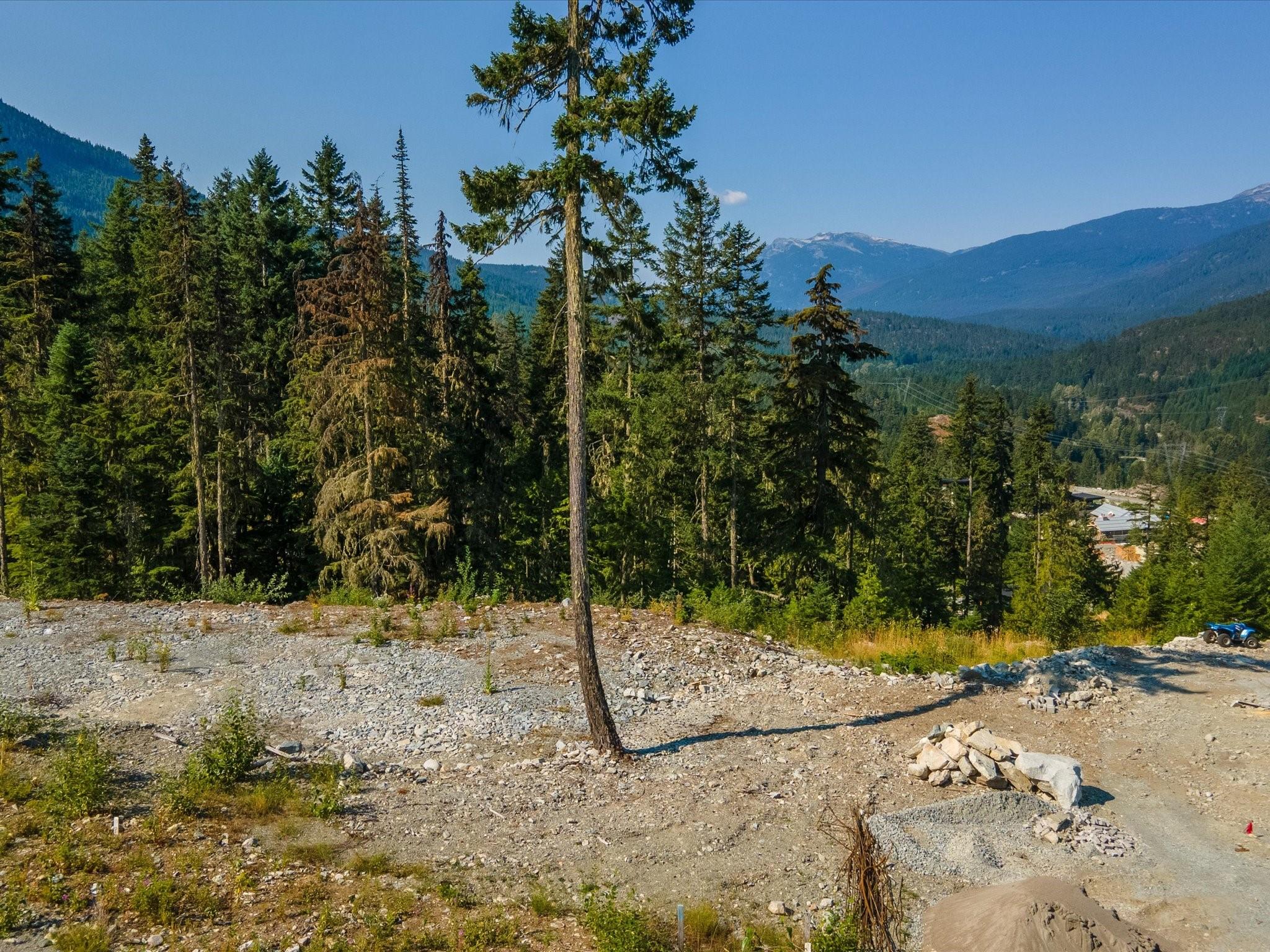 9329 Warbler Way image 4