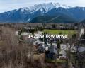 1423 Willow Drive image 39