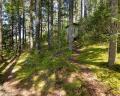 Lot C- District Lot 6625 Levette Lake  image 11