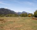 Lot 1- Fraser Road image 9