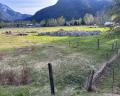 Lot 1- Fraser Road image 12