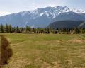 Lot 1- Fraser Road image 7