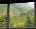 7456 Dogwood Street image 10