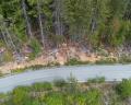8570 Ashleigh Mclvor Drive image 2