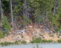 8570 Ashleigh Mclvor Drive image 3
