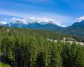 8570 Ashleigh Mclvor Drive image 5