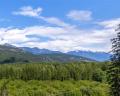 1305 Eagle Drive image 30