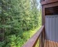 1-4668 Blackcomb Way image 11