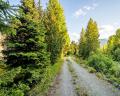7231 Fitzsimmons Road image 25