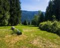 8173 Pemberton Meadows Road image 25