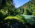 8173 Pemberton Meadows Road image 26
