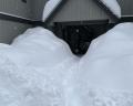 2544 Snowridge Circle  image 33
