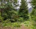9540 Pemberton Portage Road image 22