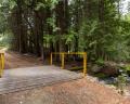 9540 Pemberton Portage Road image 23