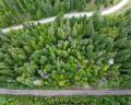 9540 Pemberton Portage Road image 27
