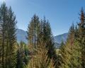 8476 Matterhorn Drive image 14