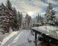 8476 Matterhorn Drive image 15