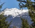 8476 Matterhorn Drive image 16