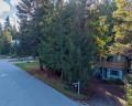6533 Balsam Way image 23